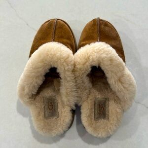 Uggs disquette chestnut